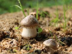 ManBetX体育