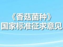 ManBetX体育