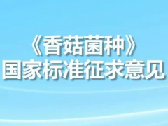 ManBetX体育