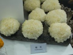 ManBetX体育