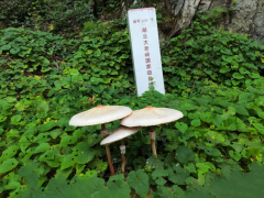 ManBetX体育