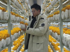 ManBetX体育