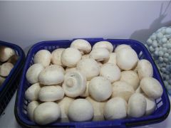 ManBetX体育