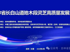 ManBetX体育