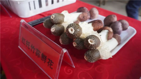 ManBetX体育