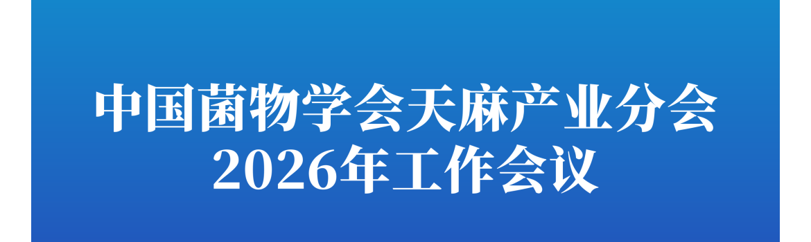 ManBetX体育