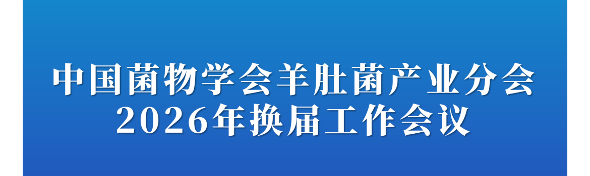 ManBetX体育