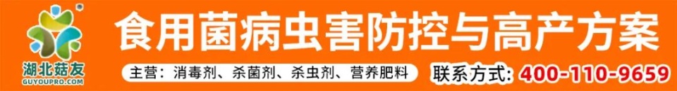 ManBetX体育