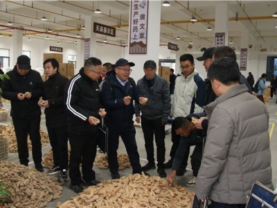 ManBetX体育