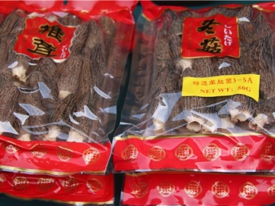 ManBetX体育