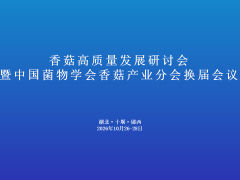 ManBetX体育